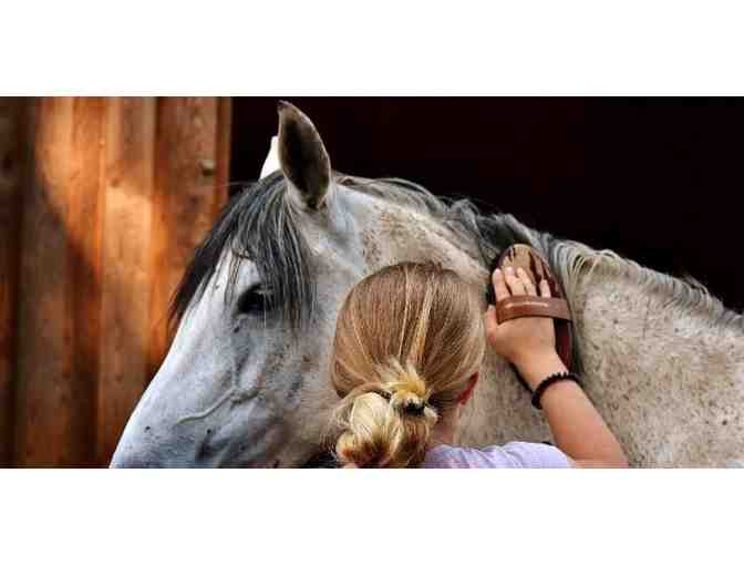 Rancher for a Day in Pescadero AND English Riding Lesson in Portola Valley