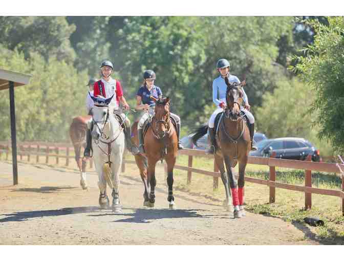 Rancher for a Day in Pescadero AND English Riding Lesson in Portola Valley