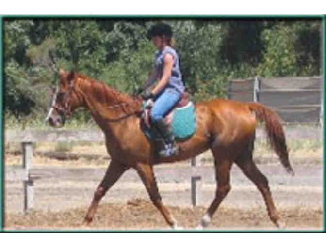 Trail Ride for Four at Webb Ranch