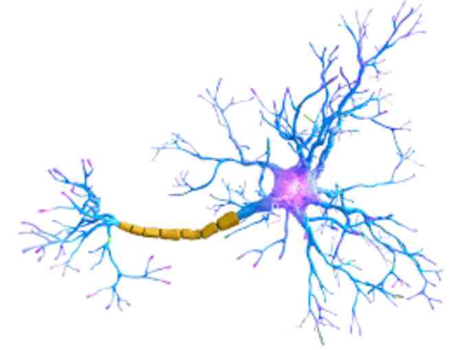 Four Ketamine Sessions and Psychedelic Coaching