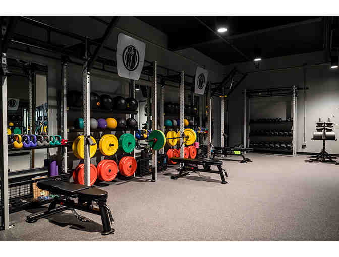 Undisputed Boxing Gym 10-Class Pack & Gloves