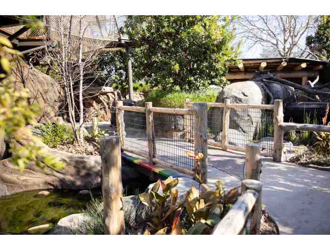 Junior Museum and Zoo Birthday Party Package