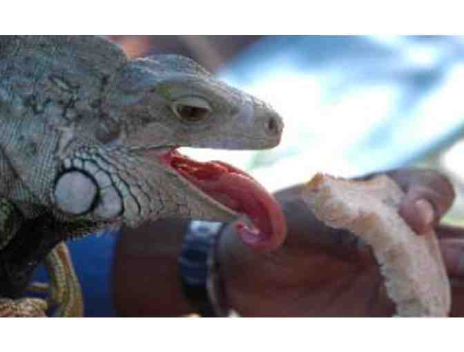 Incoming Oak Knoll 2nd Grade Animals and Coffee/Donuts Party