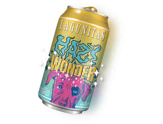 Cooler of Lagunitas Beer - Variety Pack!