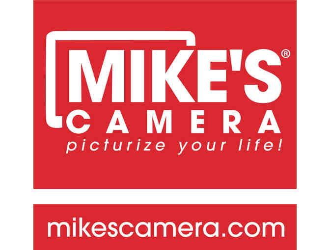 Encinal TK Chickadee or Woodpecker Pop Art Collages