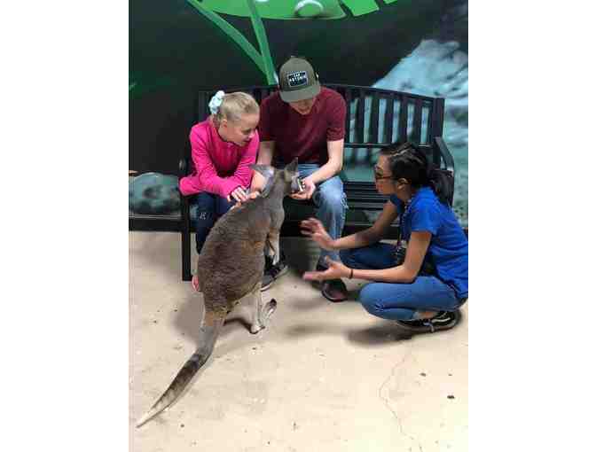 San Antonio Aquarium