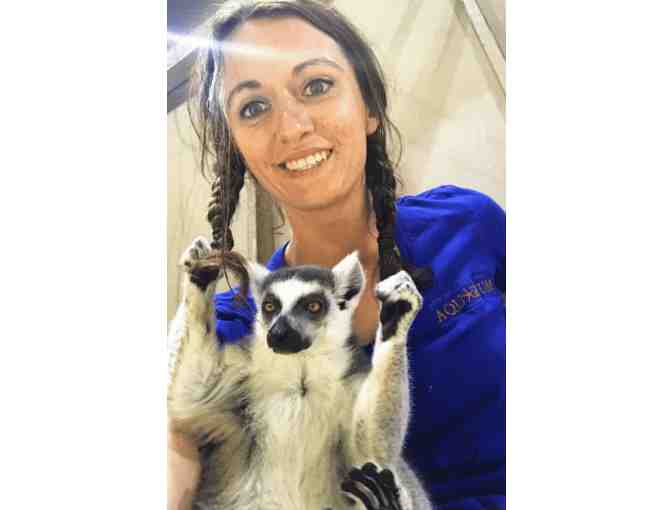 San Antonio Aquarium