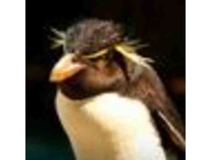 NEW ENGLAND AQUARIUM - FOUR ADMISSION PASSES - BOSTON