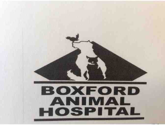 One Free Physical Exam at Boxford Animal Hospital (exp. Jan.1,2021)
