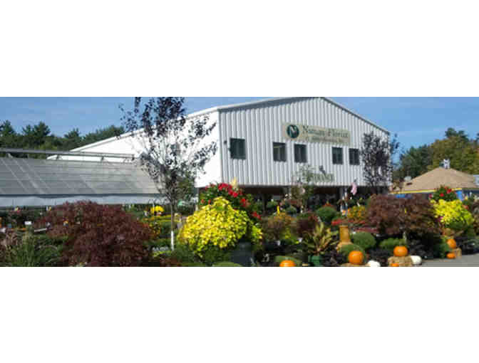 $50 Gift Card to Nunan Florist & Greenhouses, Georgetown