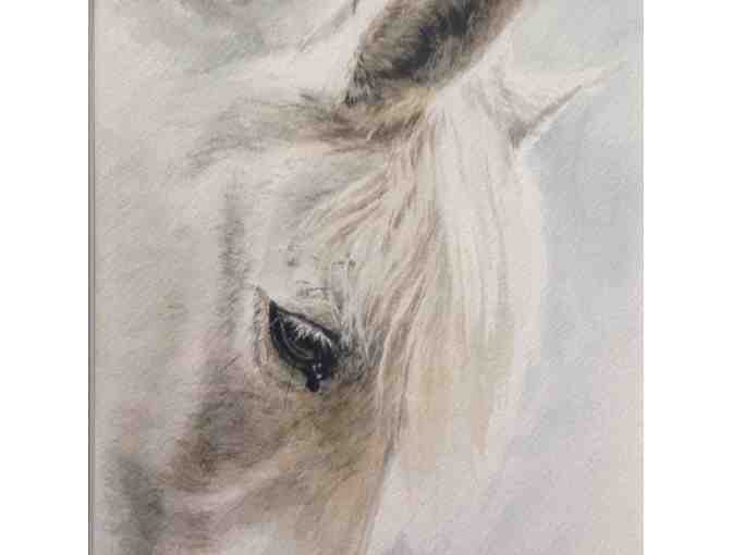 Certificate for Watercolor Portrait of Your Pet by Kimberly Meuse