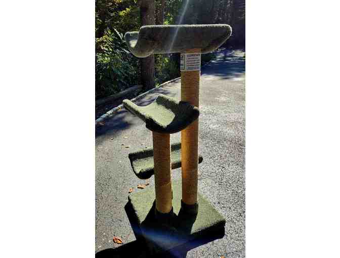 Arubacat 3-Tier Cat Tree