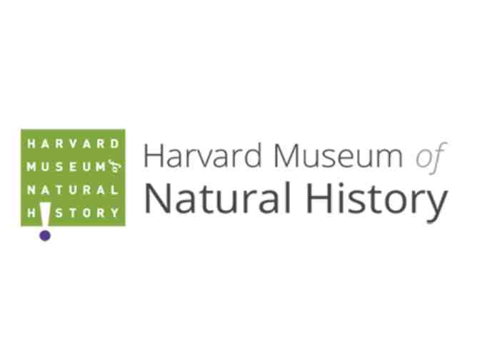 4 Passes to any of the Four (f) Harvard Museums of Science & Culture