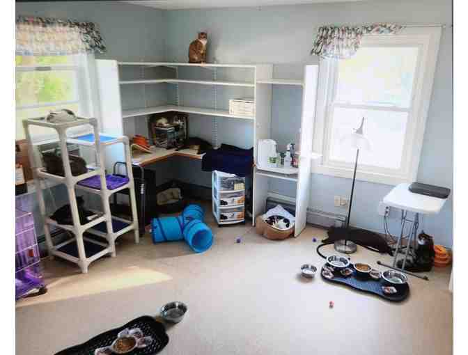 NAMING RIGHTS TO FOUR SHELTER ROOMS