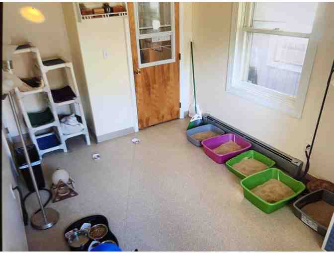 NAMING RIGHTS TO FOUR SHELTER ROOMS