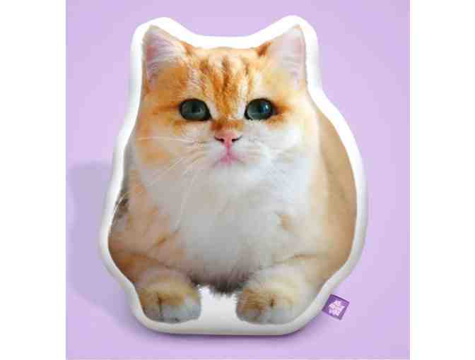 Custom Pet Pillow - All About Vibe $100 Gift Card - Photo 1