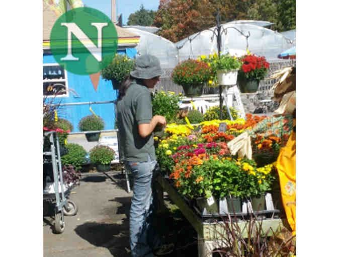 Nunan Florist & Greenhouses (Georgetown) - $50 Gift Card - Photo 1