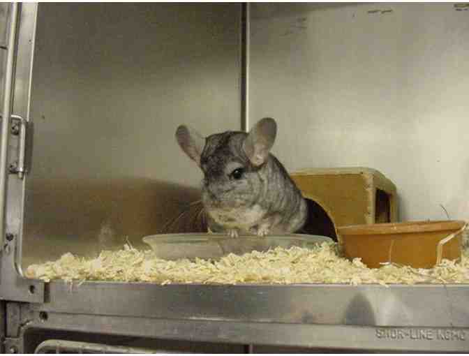 EcoTarium -Admission Passes for 2 Adults and 2 Children