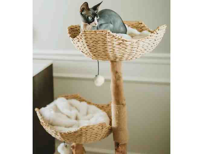 Cento Cat Tree