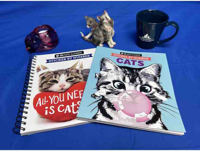 Self Care Cat Basket