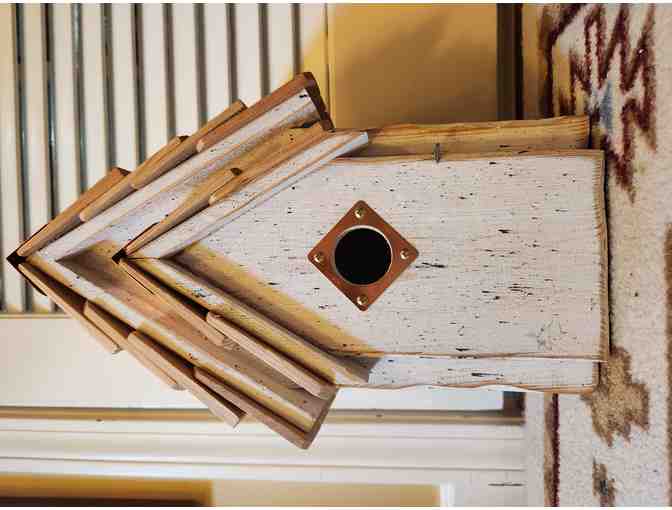 Blue Bird Nesting Box