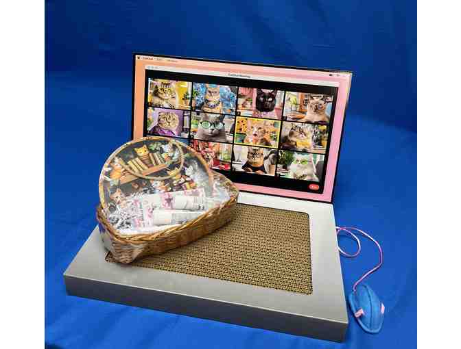 Work from Home Kitty Bundle