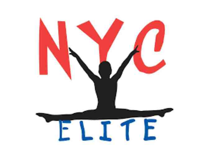 One Week at NYC Elite Summer Camp
