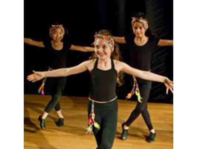 One Week of Aerial Camp at Bridge For Dance