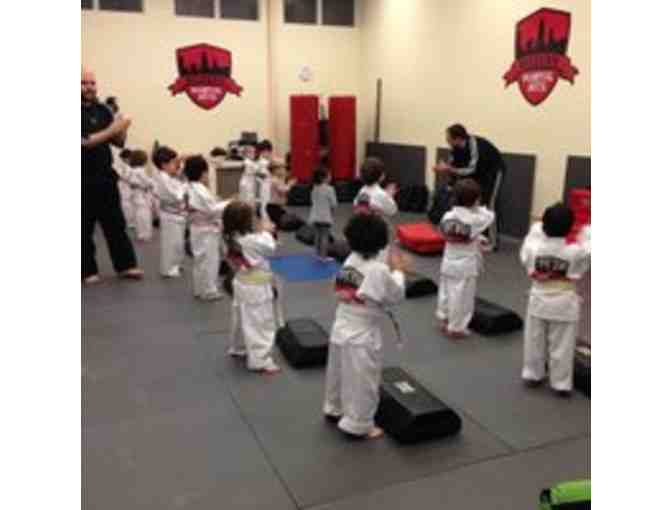 One Month of 2 Martial Arts Classes Per Week at Modern Martial Arts
