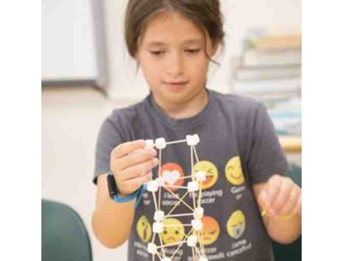 $500 Gift Certificate to Challenge Camp in Hartsdale, NY