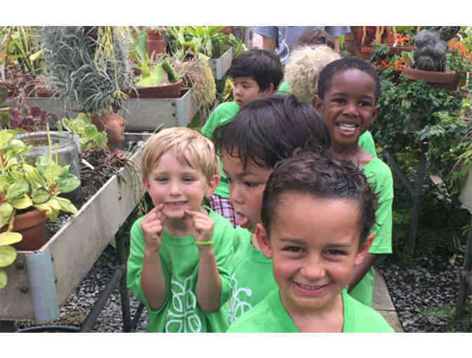 50% Discount for Two Weeks at Bank Street Summer Camp