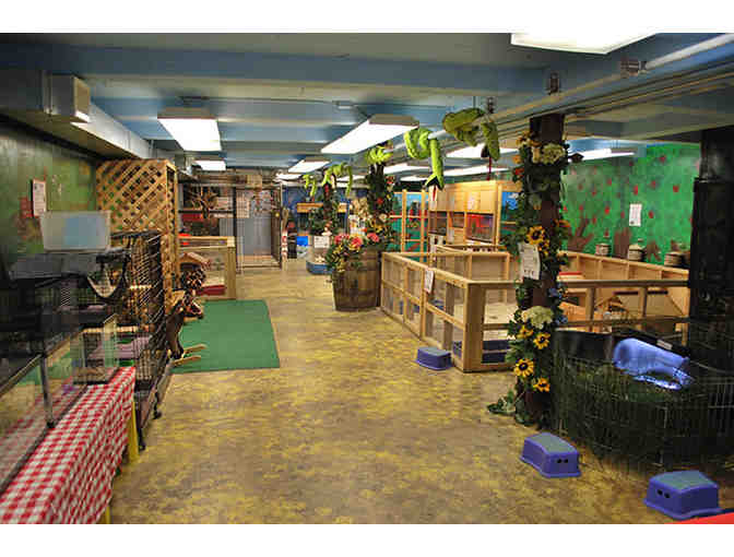 One Semester of a One Hour Class at the Art Farm