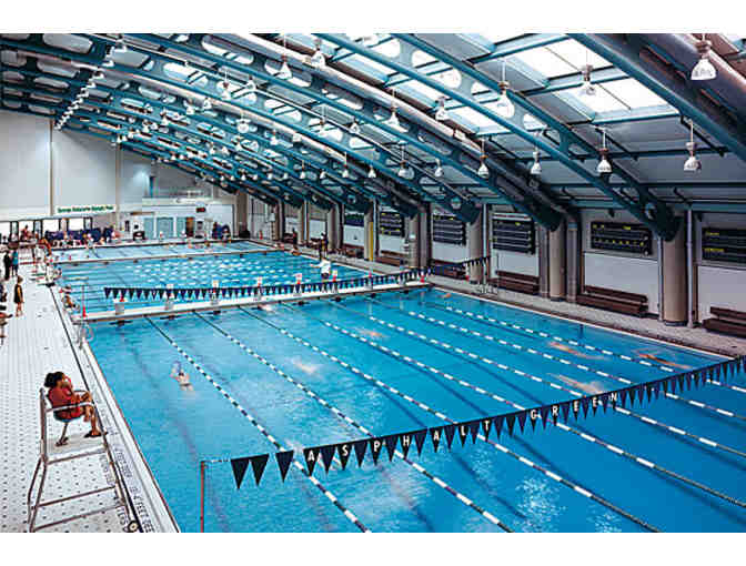 One Full Day at Asphalt Green's Mini Camp for Holidays and School Breaks