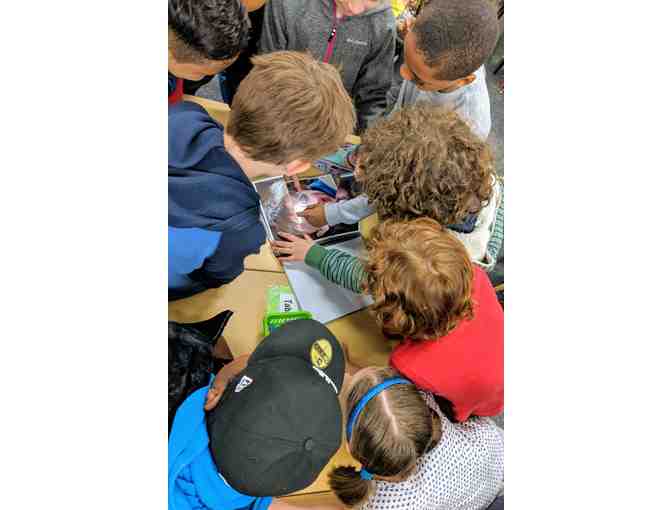 302 - STEPHANIE: Mix 'n' Match Kids' Face Flip Book