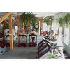 Women's Fitness Studio and Spa