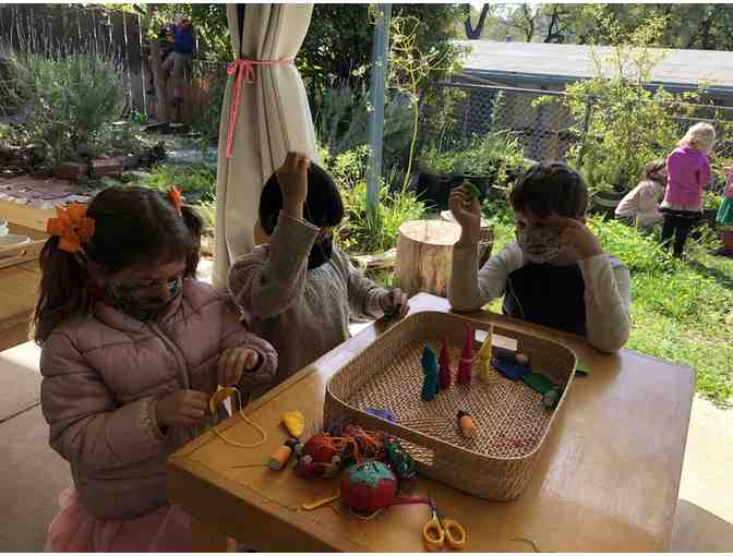 Morning Glory Class Project - Gnome Garden