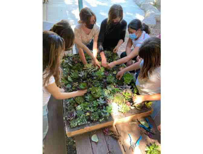 Sixth Grade Class Project - Succulent Wall Hanging