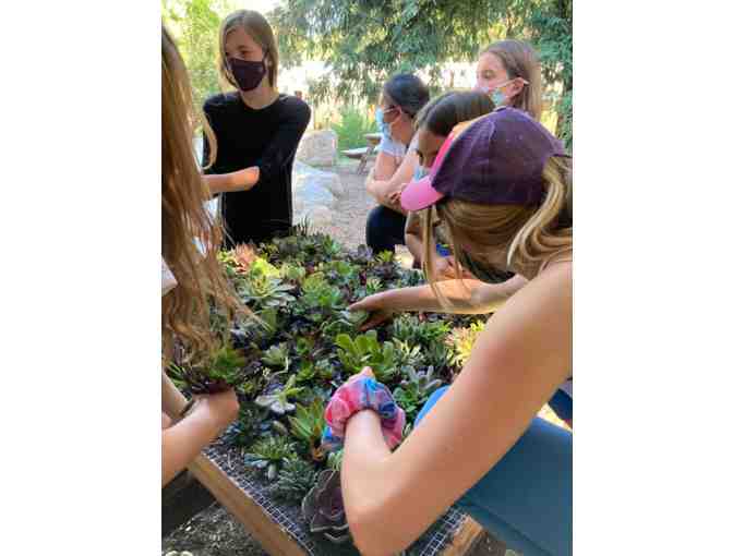 Sixth Grade Class Project - Succulent Wall Hanging