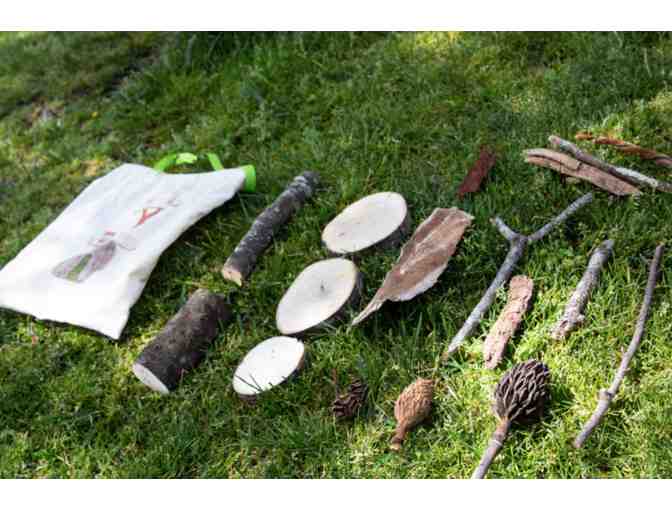 Fairy House Starter Kit #5 - First Grade Project Addition!