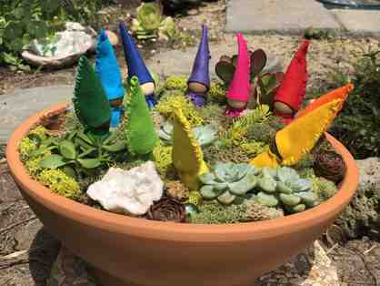 Morning Glory Class Project - Gnome Garden