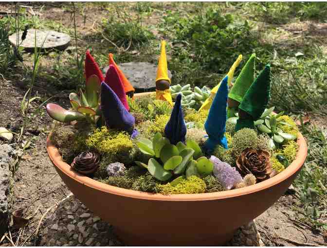 Morning Glory Class Project - Gnome Garden