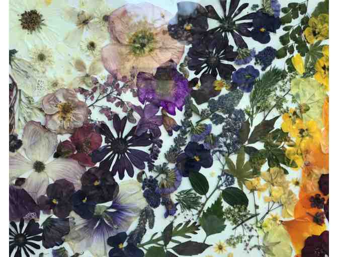 Fifth Grade Class Project - Pressed Flower Wall Art