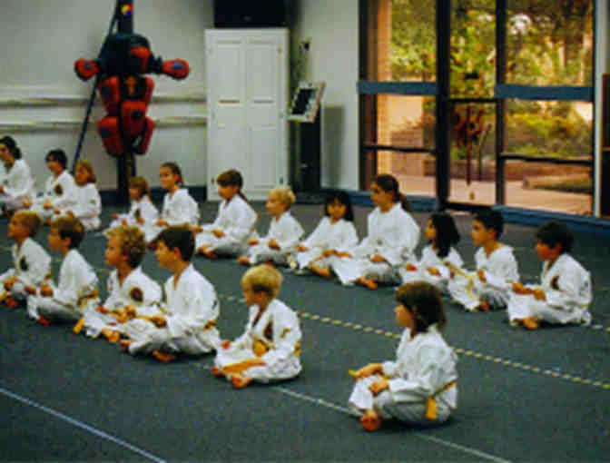 Yim's Taekwondo Birthday Party