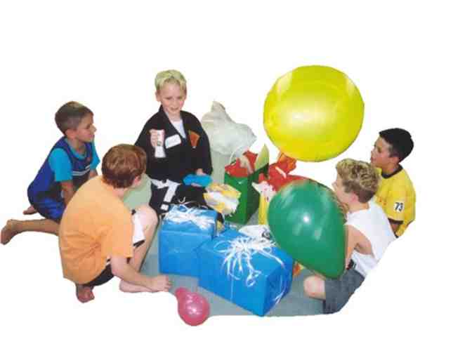 Chamberlain Studios of Self Defense - 1 Karate Birthday Party