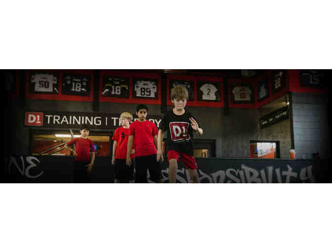 D1 Sports Training Dallas Membership
