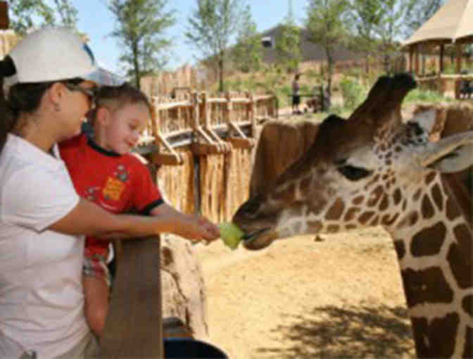 Dallas Zoo Tickets