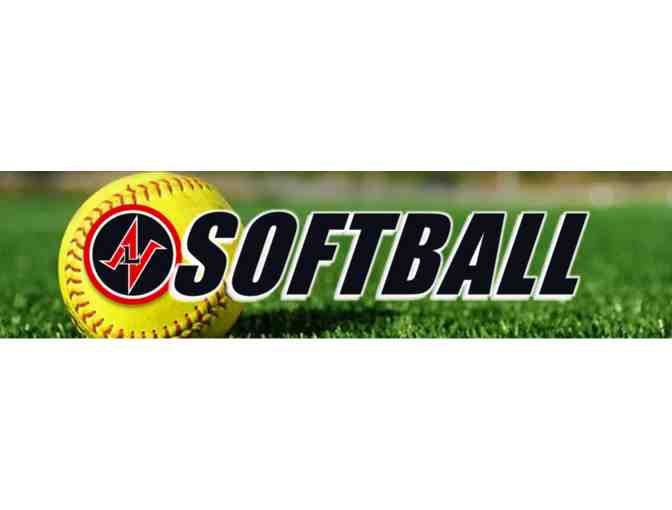 Next Level Sports Group - Team Cage Rental