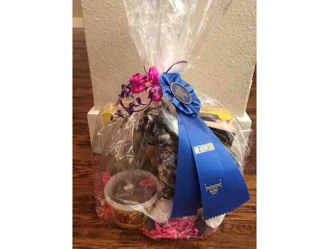 Merriwood Ranch - English Riding Lessons