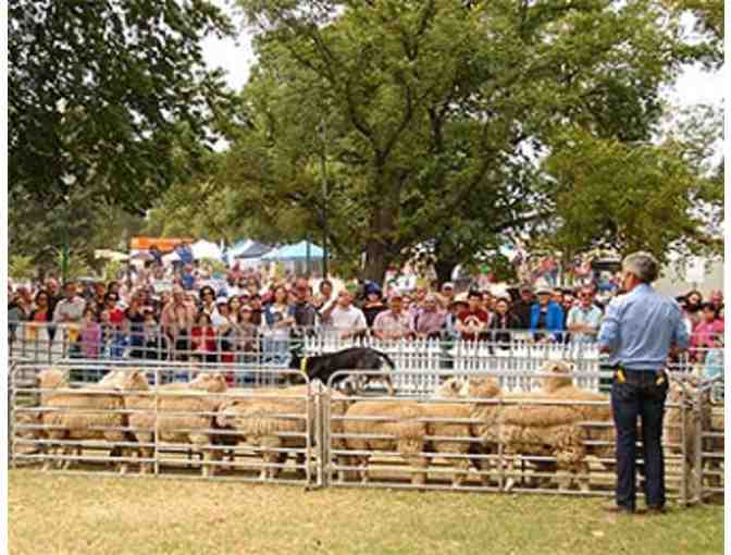 North Texas Irish Festival - Four Tickets