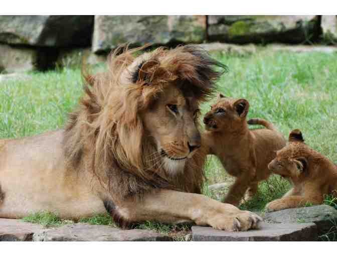 Fort Worth Zoo - 2 Adult Tickets